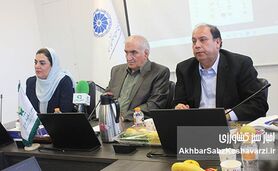 تاکید انجمن ارگانیک ایران بر توسعه صادرات سبز و آگاهی سلامت‌محور در چهاردهمین جشنواره ارگانیک