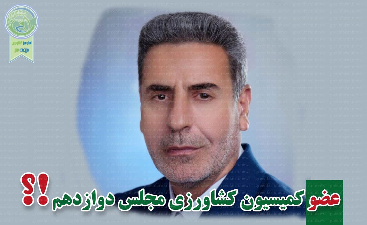 هوشنگ هادیان‌پور نماینده مردم شازند شد

