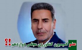 هوشنگ هادیان‌پور نماینده مردم شازند شد

