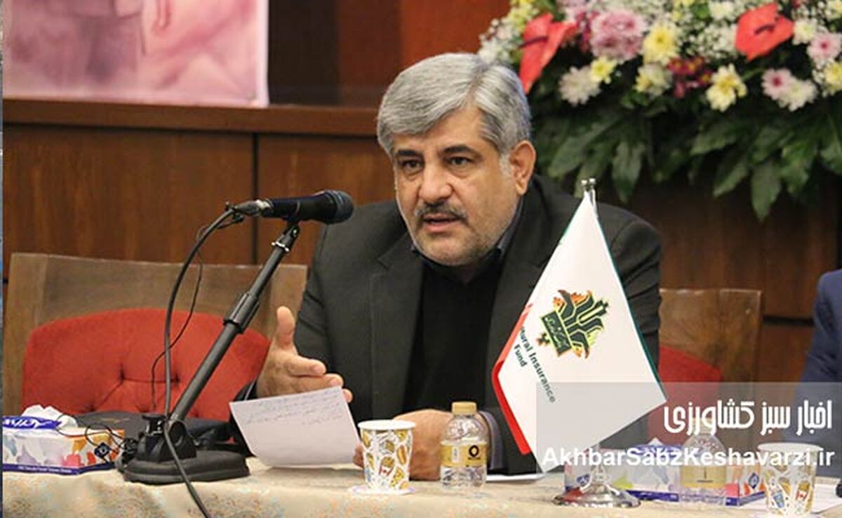 اوسطی در هم‌اندیشی بانک کشاورزی: بیمه کشاورزی وارد نقطه عطف تاریخی شده است