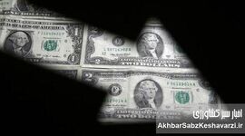 ترمز دلار کشیده شد؛ سکه در مسیر صعودی/ جدول قیمت‌ها (۲۸ تیر)

