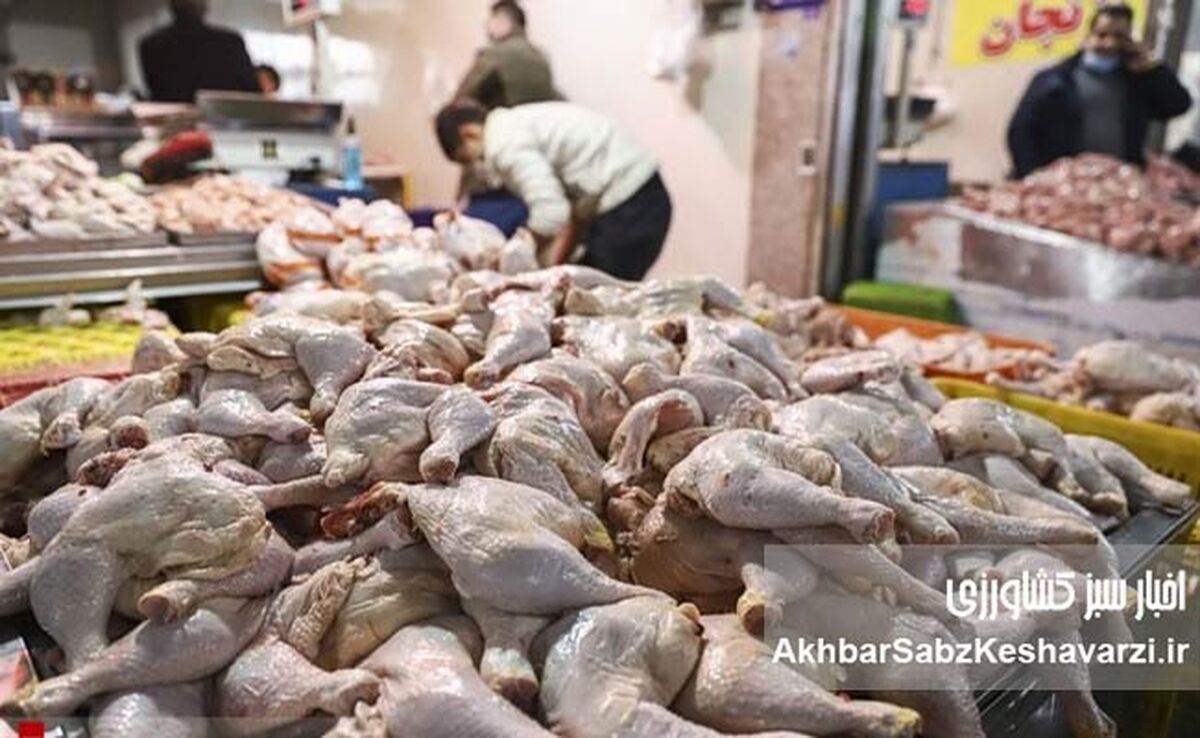 بحران قیمت‌گذاری: مرغ ۱۶۵ هزار تومانی در بازار