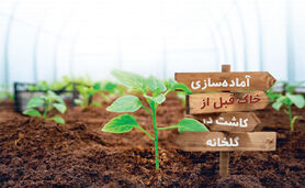آماده‌سازی خاک قبل از کاشت در گلخانه

