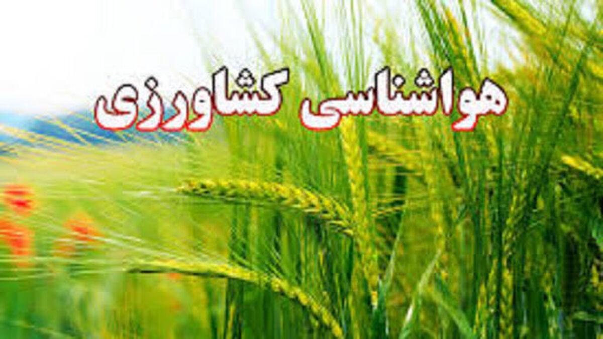 هشدار مهم هواشناسی کشاورزی درباره باد شدید به کشاورزان
