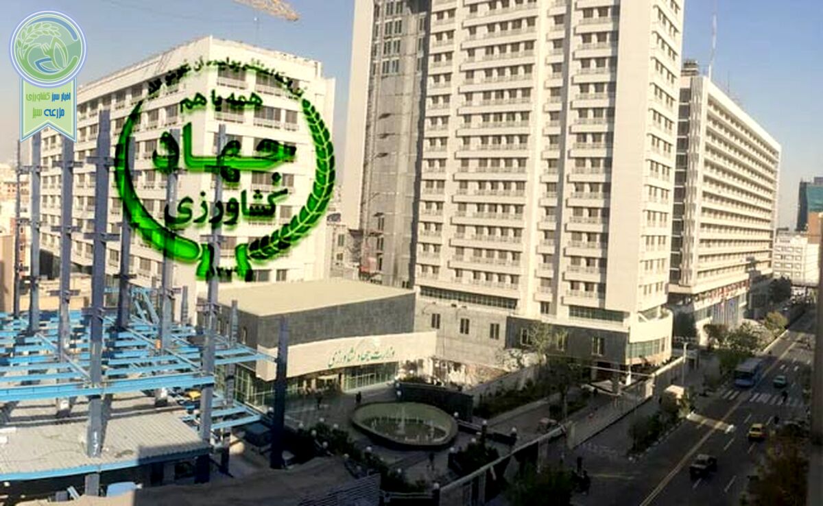 جناب آقای پزشکیان ما شرم کردیم، شما چطور؟+ ویدئو
