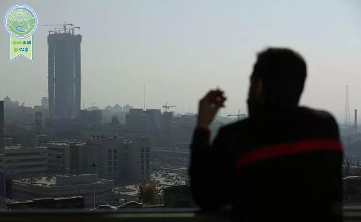 آلودگی هوا قطعه‌ای از پازل مسائل محیط زیستی


