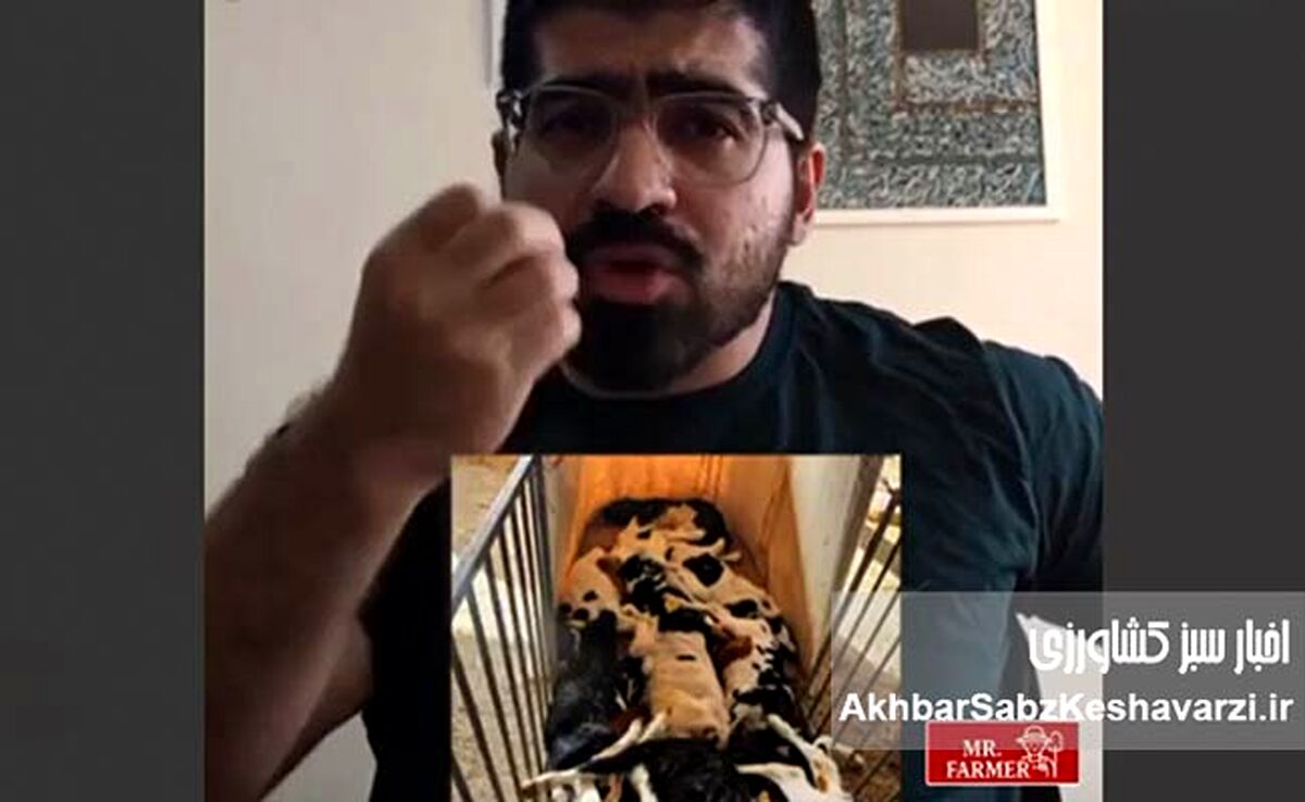 بحران خاموش در دامداری ایران؛ از تب برفکی تا بی‌دولتی مزمن+ویدئو