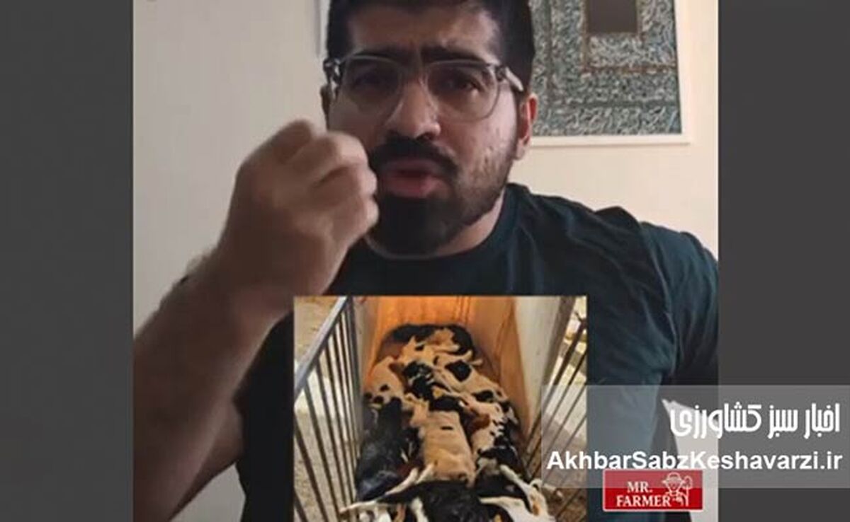 بحران خاموش در دامداری ایران؛ از تب برفکی تا بی‌دولتی مزمن+ویدئو