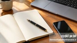 استراتژی مدیریت عملکرد؛ ابزارهای انضباطی در سازمان (قسمت چهارم)