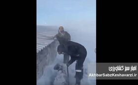 حیوانات در سرمای مرگبار کرمان یخ زدند | برف یک‌متری دام‌ها را زنده‌زنده دفن کرد+ ویدئو