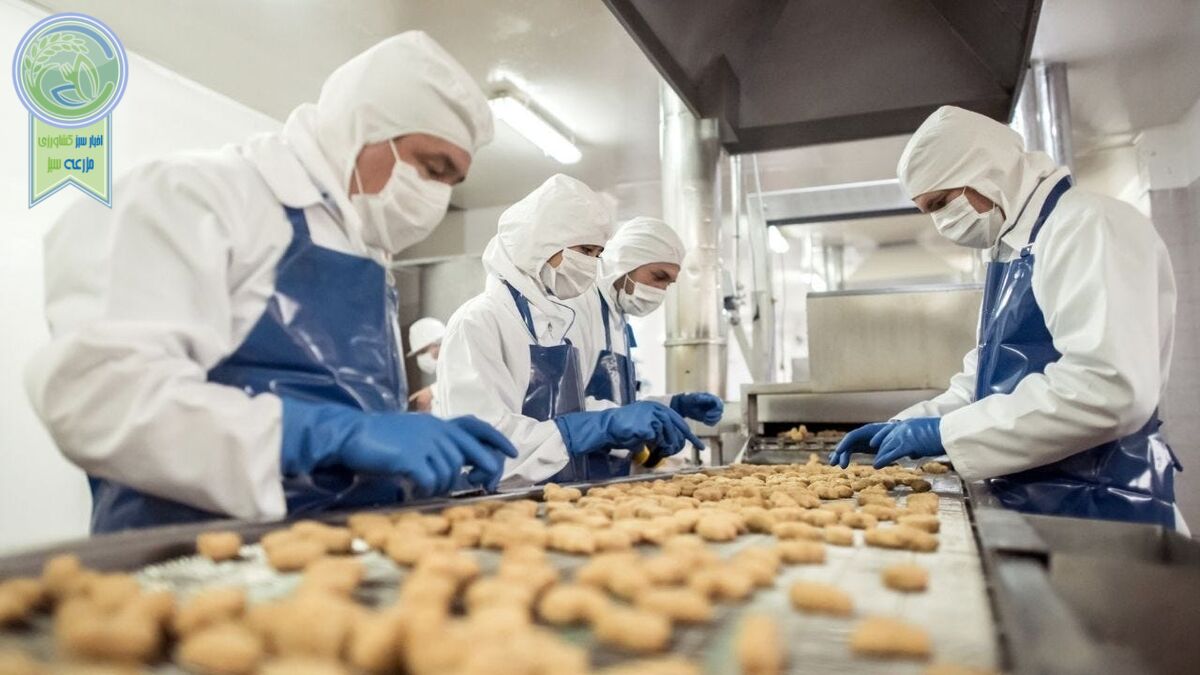 پتانسیل رشد بیشتر فرآوری مواد غذایی 