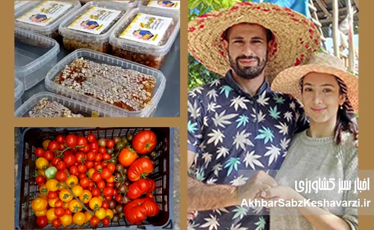 زوجی جوان با دریایی از عشق به تولید: الگویی برای مهاجرت معکوس و خودکفایی در قلب مازندران+ ویدئو