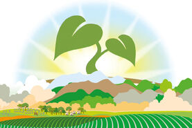 شاید مسیر رو به صعود کشاورزی حفاظتی

