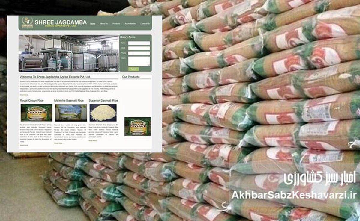 وزارت جهاد کشاورزی همچنان دلار ۲۸ هزار و ۵۰۰ تومانی تخصیص می‌دهد؛ توزیع مجدد رانت توسط «سه‌نون»