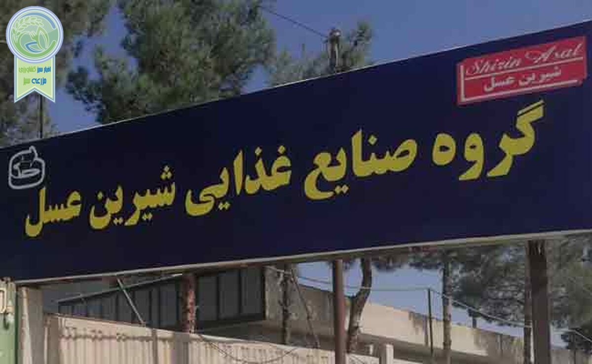 اعتراض کارگران شیرین عسل به شرایط سخت کار+فیلم

