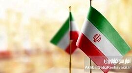 چرا عمان انتخاب شد؟ روایت الاخبار از خط قرمز تهران در مذاکرات