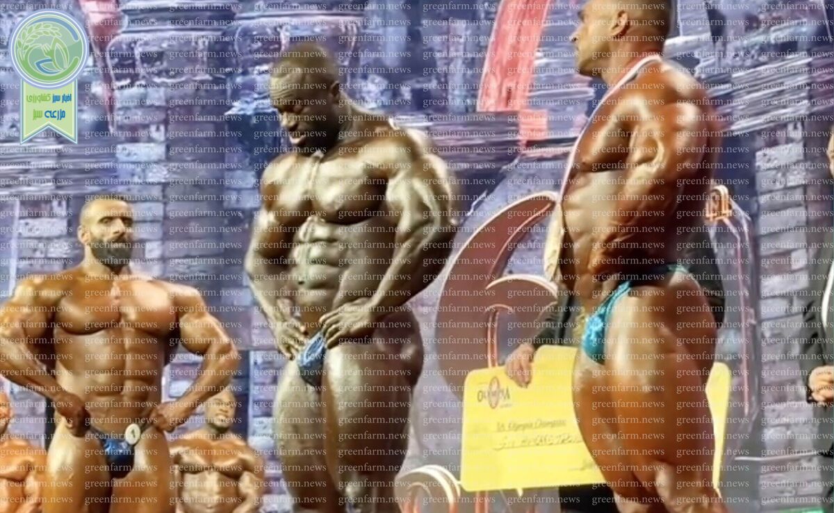 واکنش جالب هادی چوپان در لحظه اعلام اسم نفر اول مستر المپیا ۲۰۲۴+ ویدئو

