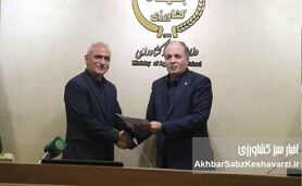 تغییر در رأس تعاون روستایی؛ علی برابری با حکم وزیر منصوب شد