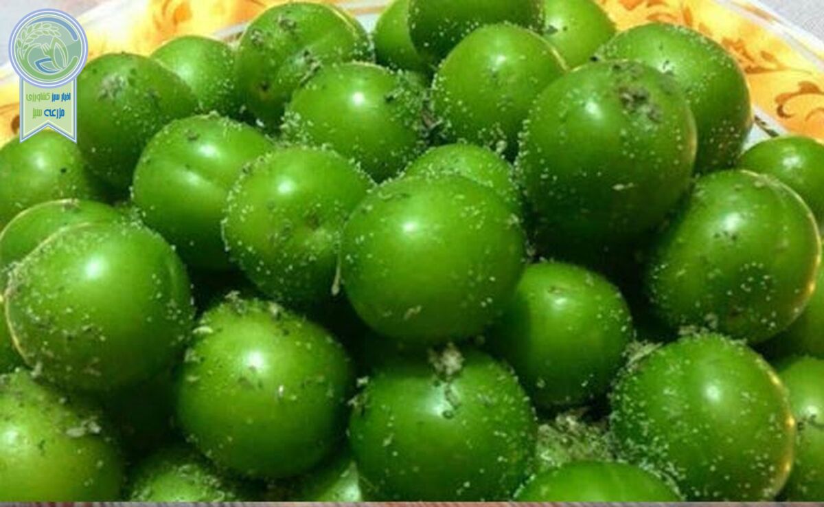 ۵ عدد گوجه سبز نوبرانه، نیم میلیون تومان!
