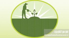 سموم ارگانیک تأییدشده؛ آیا کشاورزی بدون سم شیمیایی ممکن است؟