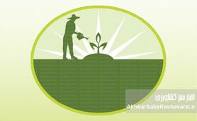 سموم ارگانیک تأییدشده؛ آیا کشاورزی بدون سم شیمیایی ممکن است؟