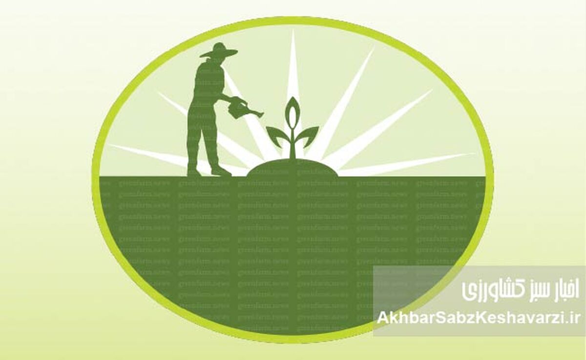 سموم ارگانیک تأییدشده؛ آیا کشاورزی بدون سم شیمیایی ممکن است؟