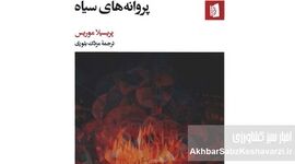 پروانه‌های سیاه؛ وقتی ادبیات، جنگ را از زاویه زندگی روایت می‌کند+جزئیات