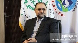 پیامدهای تراژدی جنگ غلات در دریاها/ اهمیت صادرات دریایی غلات