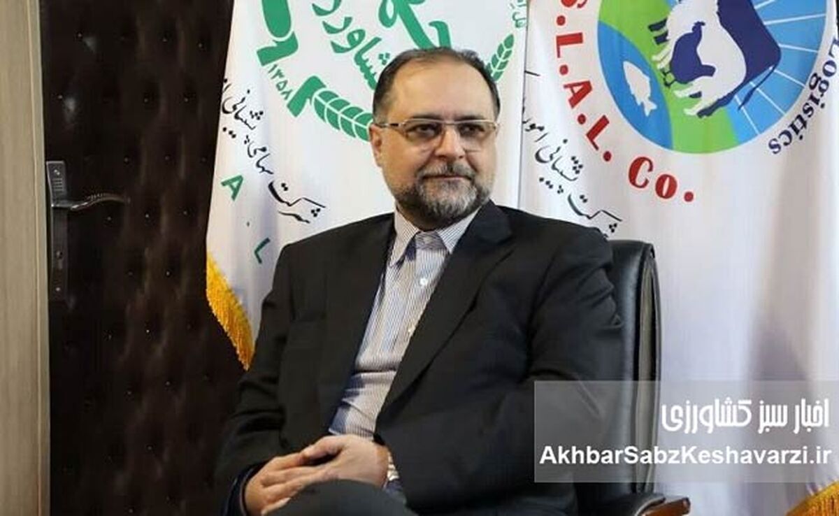 پیامدهای تراژدی جنگ غلات در دریاها/ اهمیت صادرات دریایی غلات