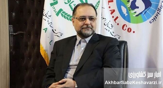 پیامدهای تراژدی جنگ غلات در دریاها/ اهمیت صادرات دریایی غلات