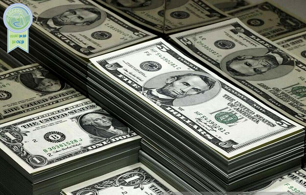 دلار ریخت/ عقبگرد نرخ به کانال ۵۷ هزار تومان

