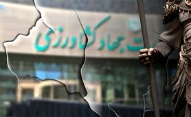 خواب آسودگی از چشم نگهبان، مَطَلب

