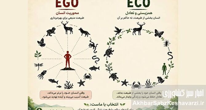 از «ایکو» تا «ایگو»؛ چرا بقای انسان در گرو آشتی با طبیعت است؟