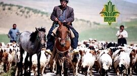 حمایت بانک کشاورزی از جامعه عشایری با پرداخت ۶ هزار میلیارد ریال تسهیلات