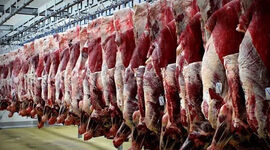 تسهیل فرآیند واردات گوشت و کالاهای اساسی در شرایط جنگی