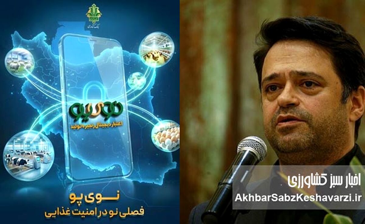 «نوی پو» بانک کشاورزی؛ ابزار جدید حمایت از تولید مرغ