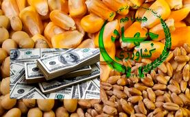 زنگ خطر برای بازار کالاهای اساسی/ تعلل در تخصیص ارز ۲۸۵۰۰ تومانی نهاده‌های کشاورزی+ نامه