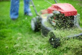 نکات مهم برای یک چمن سالم تر و زیباتر