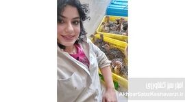 بانوان بازوهای قدرتمند عرصه تولید+کلیپ