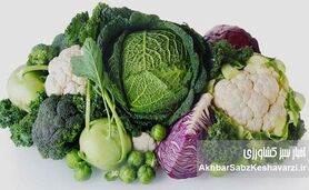 چربی شکمی با این سبزیجات معجزه‌آسا آب می‌شود | راهنمای جامع تغذیه