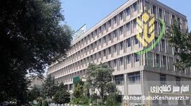سردرگمی در عمل و بازطراحی در تات؛ اجرای قانون کوچک‌سازی با تأخیر مواجه شد