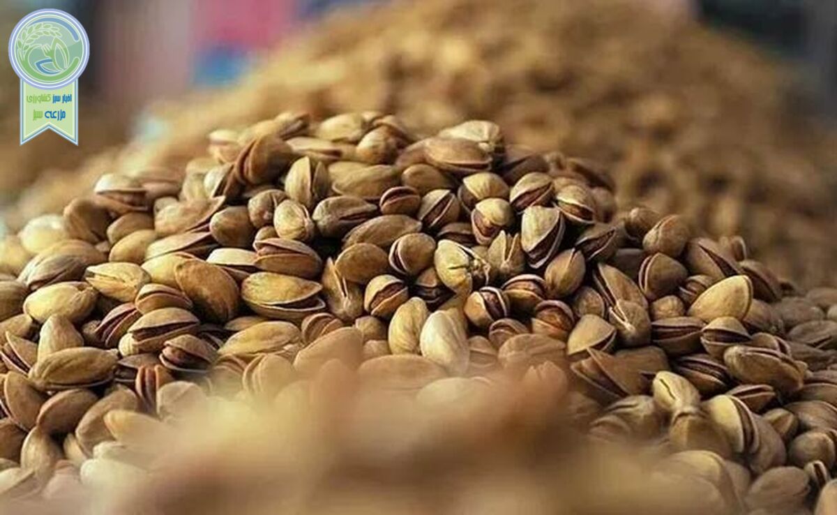 خودروسازان، آجیل و خشکبار را ۲۰ درصد گران کردند+ ویدئو
