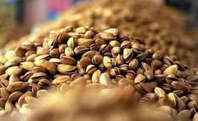 خودروسازان، آجیل و خشکبار را ۲۰ درصد گران کردند+ ویدئو