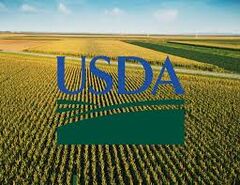 وزیر جدید USDA: کشاورزان می توانند 31 میلیارد دلار کمک دریافت کنند