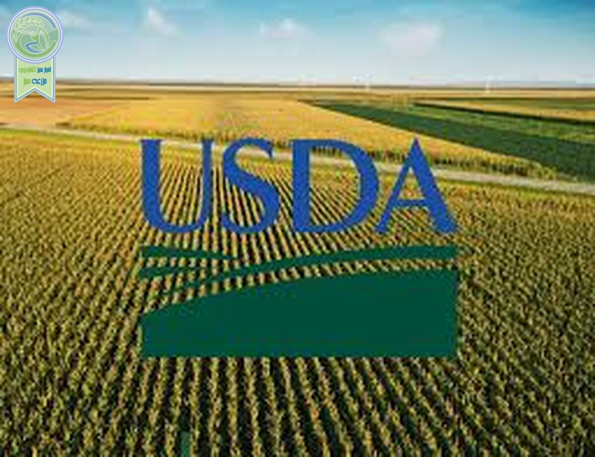 وزیر جدید USDA: کشاورزان می توانند 31 میلیارد دلار کمک دریافت کنند