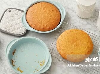 جایگزین بی‌نظیر آرد؛ طرز تهیه کیک برنجی نارگیلی نرم و لطیف