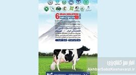 ششمین جشنواره ملی گاو هلشتاین؛ جشنی برای صنعت دامپروری ایران!