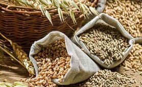 تعیین قیمت خرید تضمینی ۶ محصول اساسی کشاورزی

