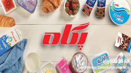 «پگاه» و موج گرانی‌های اخیر؛ مردم پاسخ روشن می‌خواهند