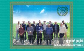 مجموعه شرکت تعاونی کشاورزی سوم‌شعبان کرمان؛ پویا، خلاق و کارآفرین
